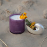 Limited Edition: Violet Lands Candle