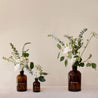 All Saints Table Decor Flower Jar Set